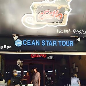Gecko Hotel